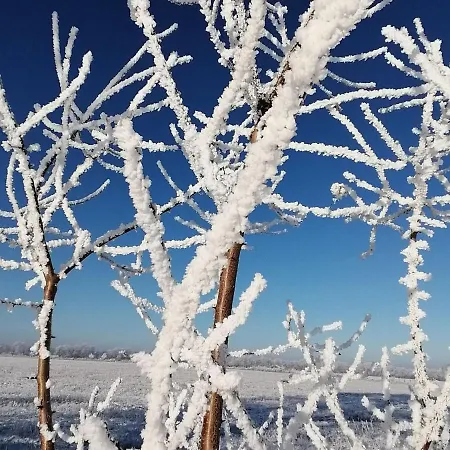 Tranquil Retreat Appartamento